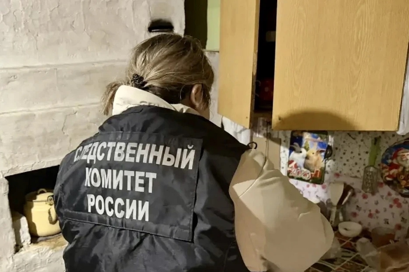 Пожилая женщина зарезала своего сожителя под Сямжей