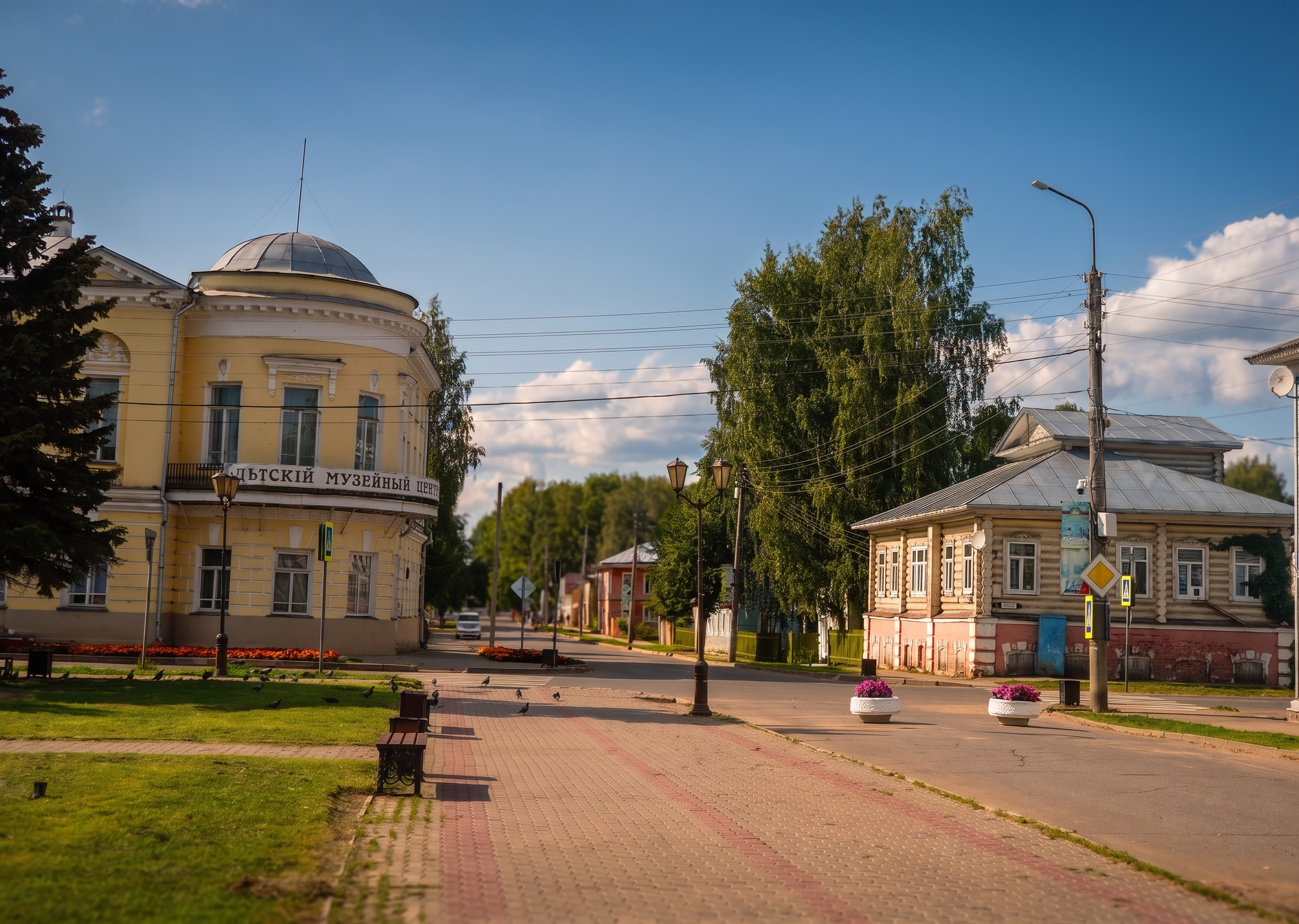 Великий Устюг зарастает: чиновники не заключили контракт на покос травы