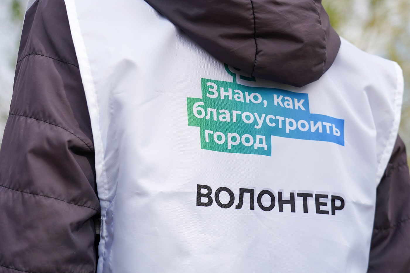 Выбрать локации для благоустройства вологжанам помогут волонтеры