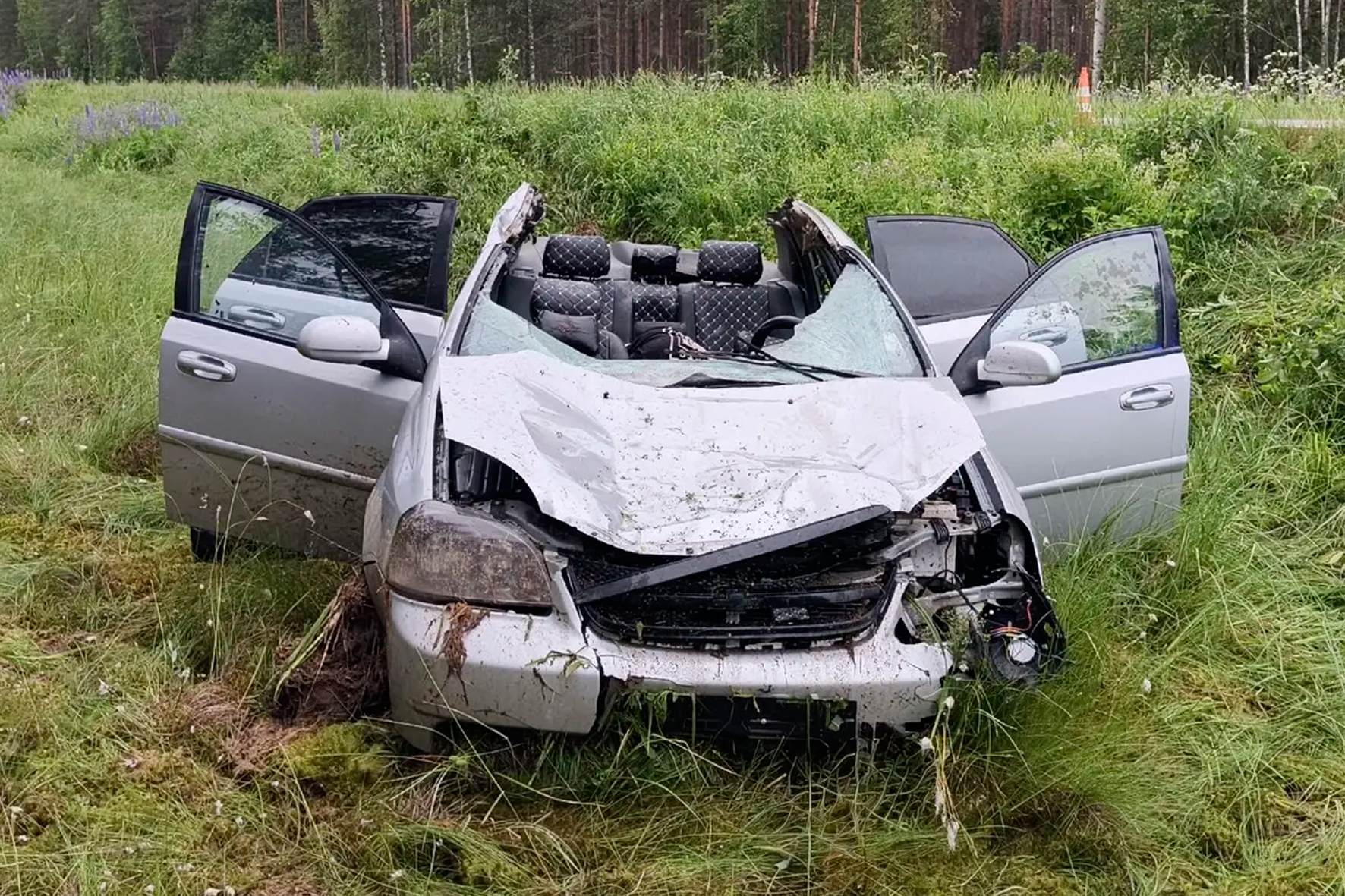 Юноша погиб в ночном ДТП с лосем в Бабаевском округе