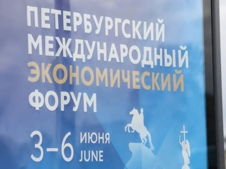 Вологодчина представит себя на ПМЭФ-2026