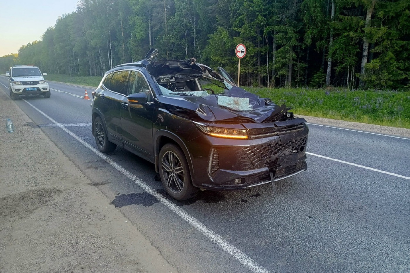 Лось погиб под колесами китайского кроссовера под Тарногой