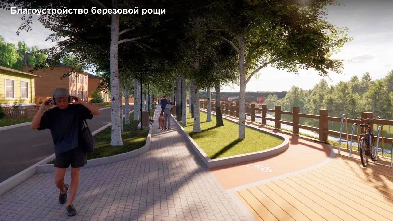 На набережной Вологды высадят берёзовую рощу