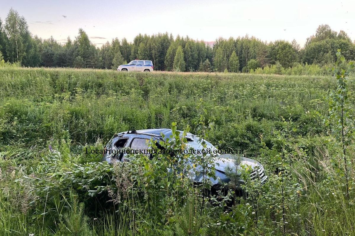 Пятеро вологжан пострадали из-за кабана