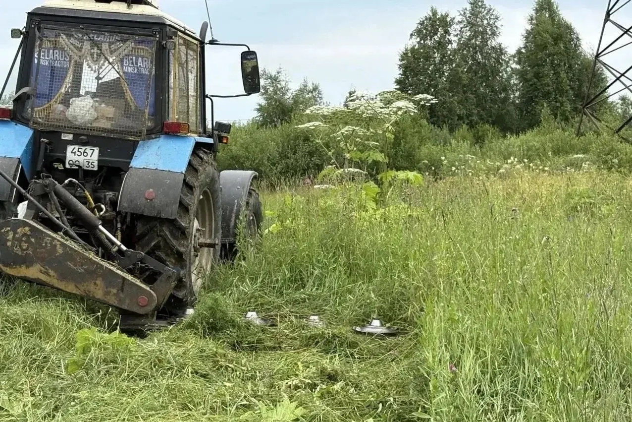 На Вологодчине зачищают федеральную трассу от борщевика