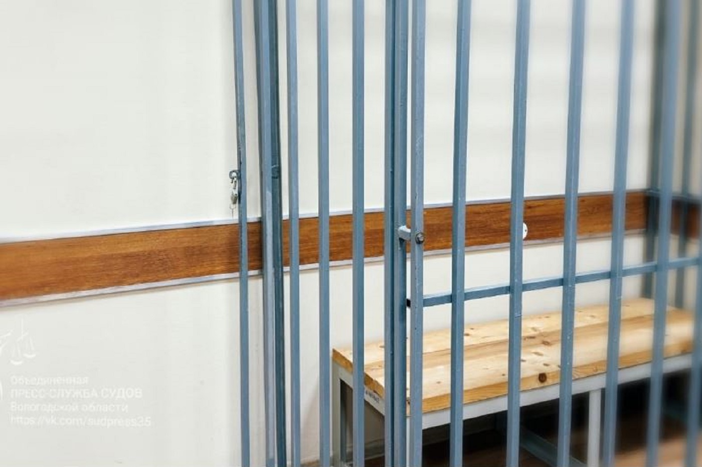 Жителя Чагоды наказали за истязание малолетних детей
