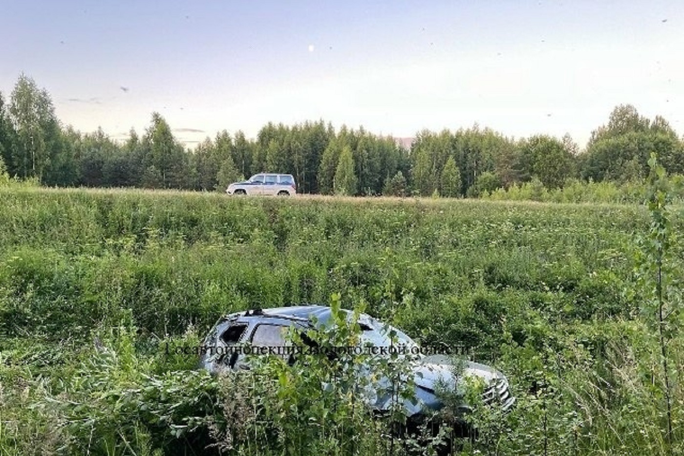 Пять человек получили травмы в ДТП с кабаном под Нюксеницей
