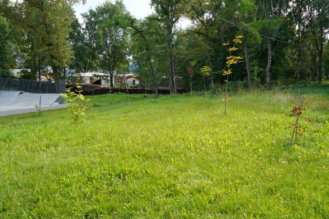 В Вологде обновят скейт-парк «Яма»