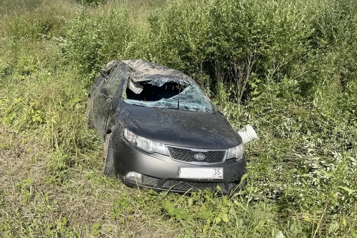 Под Соколом машина улетела в кювет: водитель погиб на месте