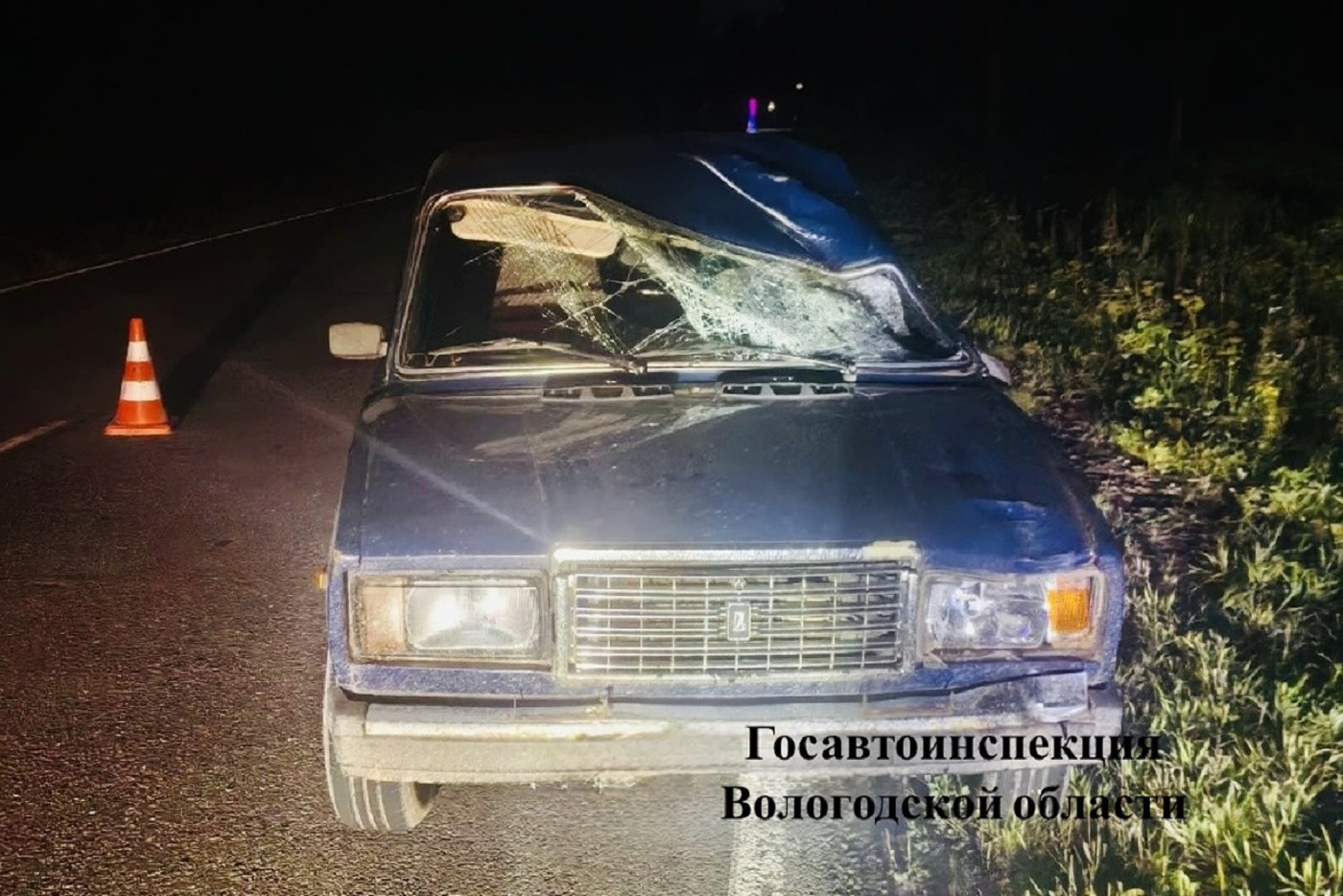 Водитель «Жигулей» получила травмы в ДТП с лосем