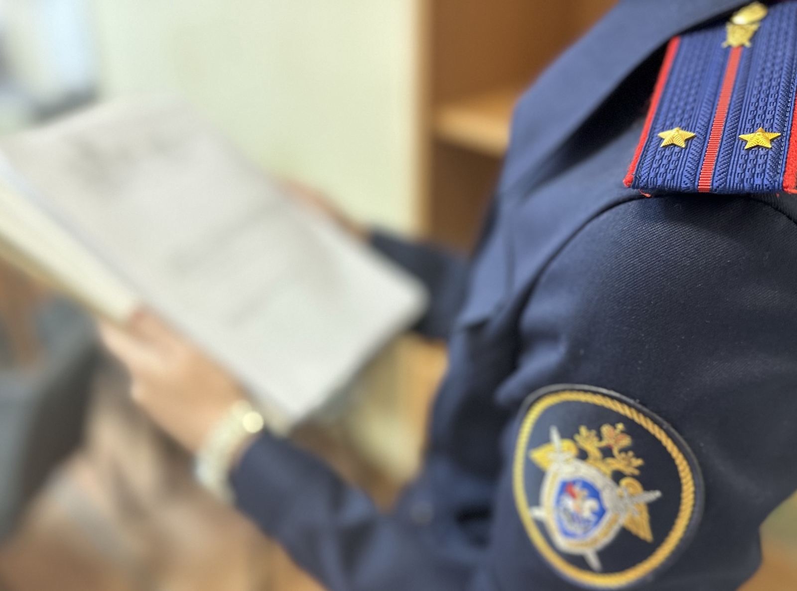 Жительница Сокола в лесу пыталась дать взятку полицейским, которых туда вызвала