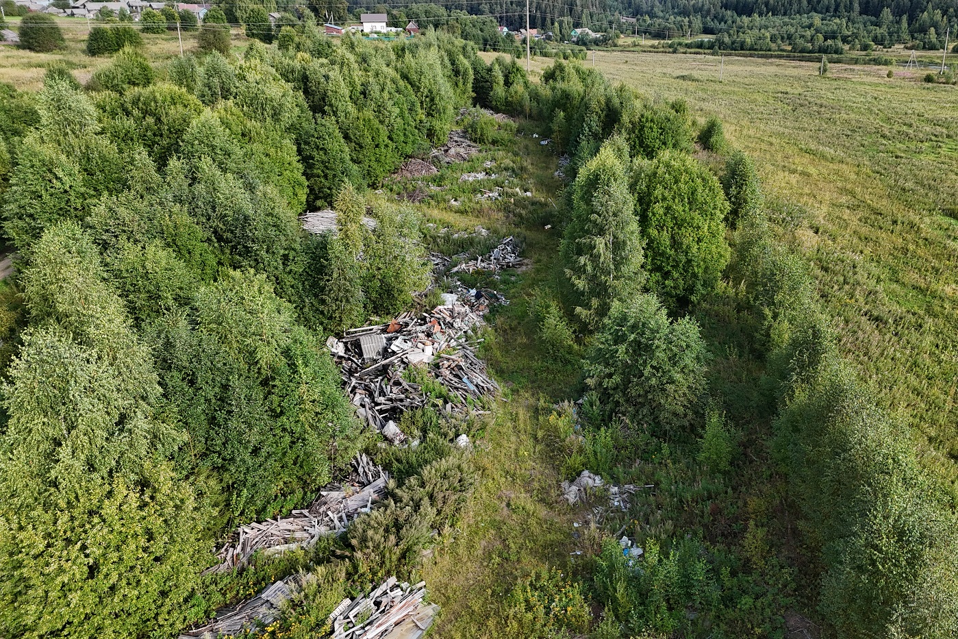 В Вологодской области обнаружены четыре несанкционированные свалки
