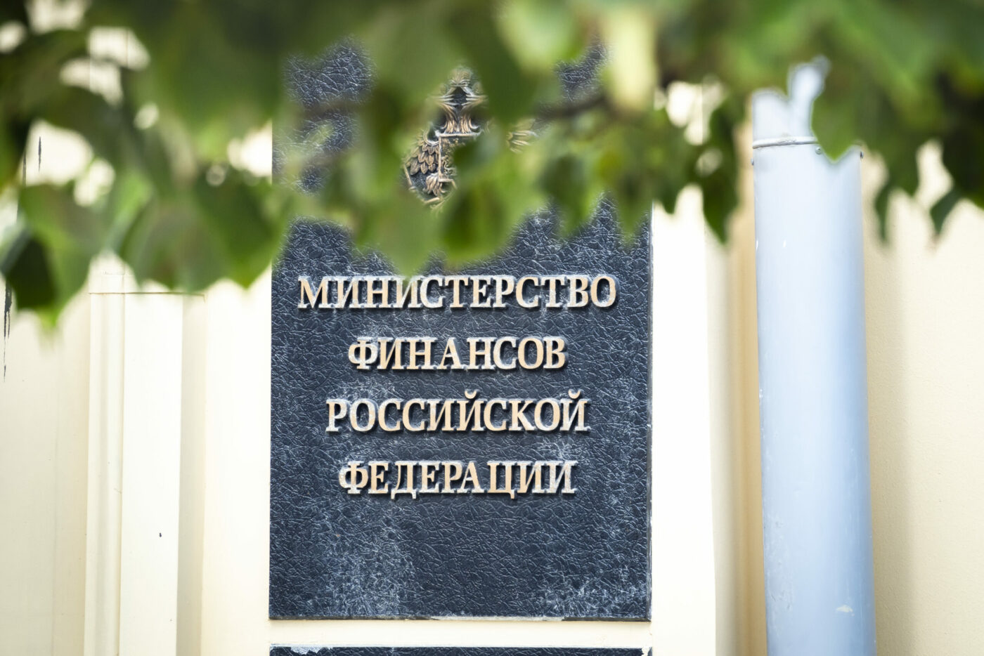 Минфин сделал заявление о будущем режима самозанятых