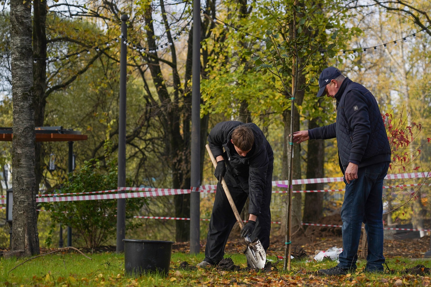 В Кремлевском саду начали высаживать новые деревья