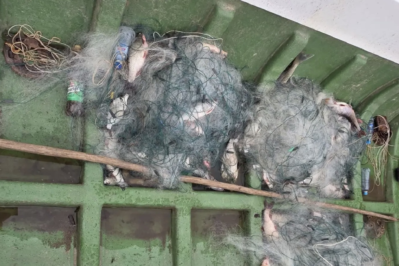 Двое вологжан попались на браконьерстве в Белом озере