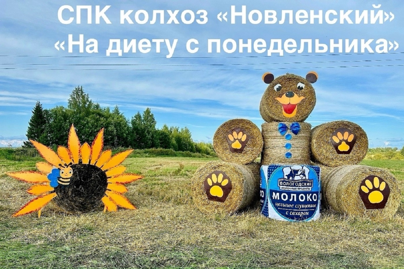 Под Вологдой определили лучший арт-объект из сена