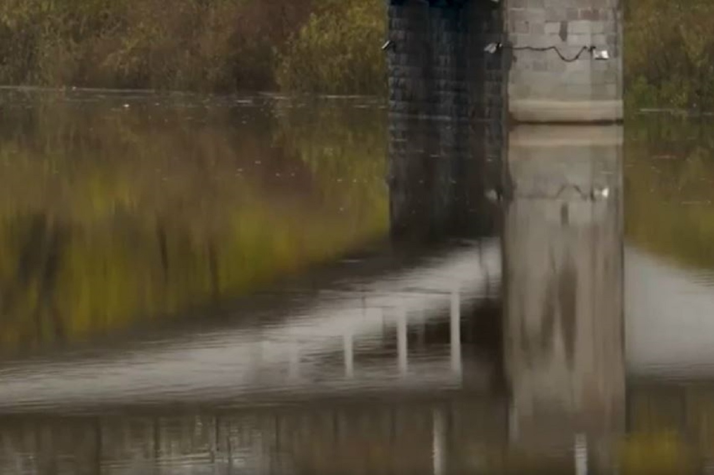 Уровень воды в ряде рек Вологодчины поднялся почти до уровня весеннего половодья