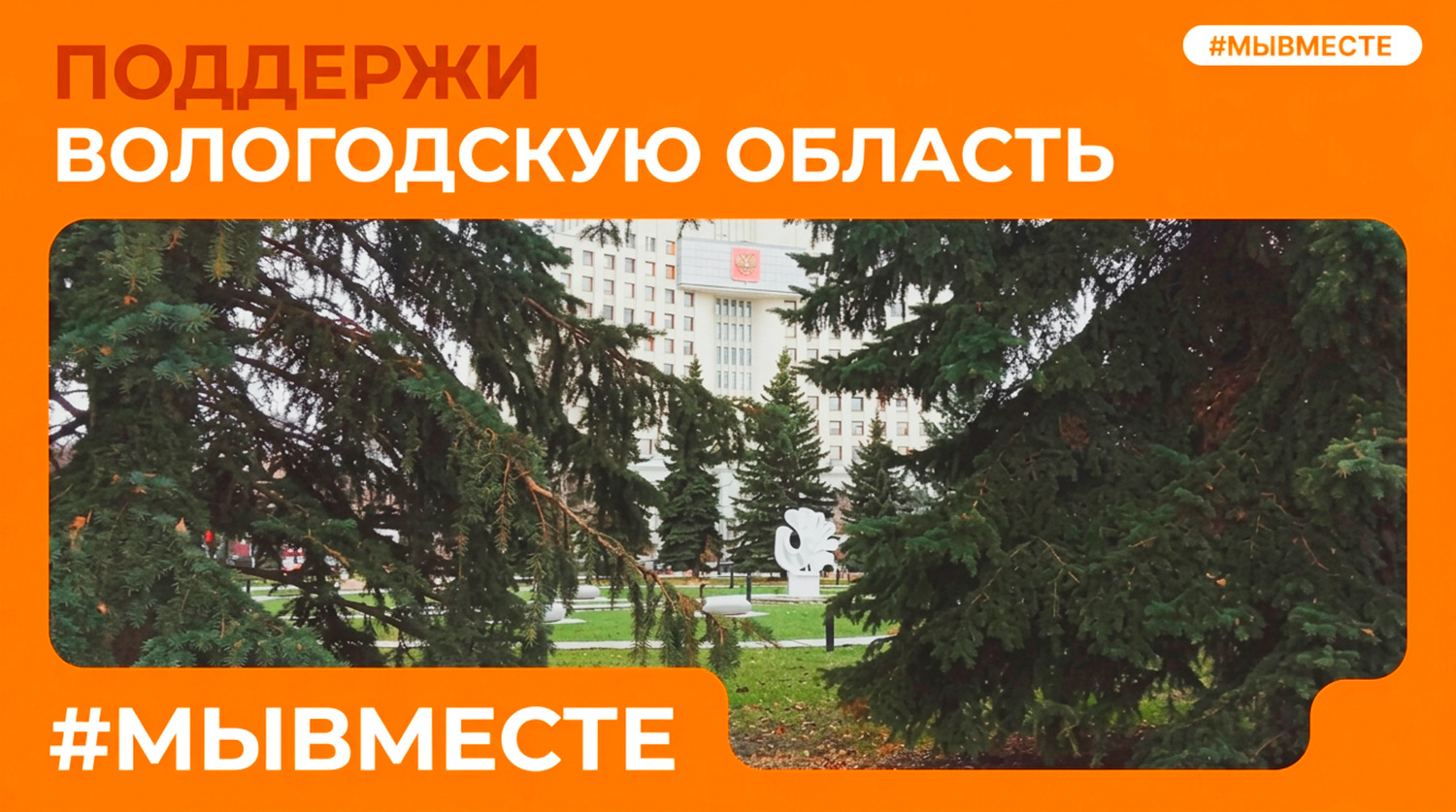 Голосую за своих: как за 2 минуты поддержать Вологодчину в премии #МЫВМЕСТЕ