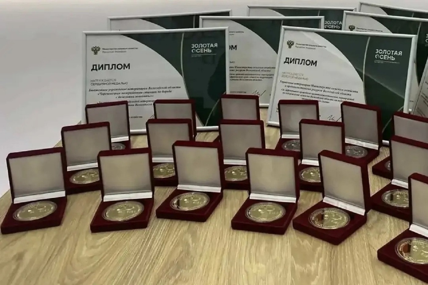 Вологодские сельхозпредприятия взяли 21 золотую медаль аграрной выставки