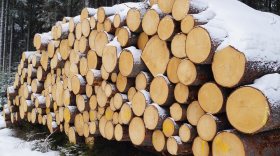 Предприятия лесной промышленности снизили объемы производства от 9% до 27