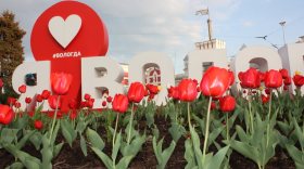 В Вологде планируют потратить 7,6 млн рублей на посадку цветов предстоящим летом