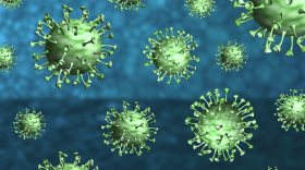 Заболеваемость коронавирусной инфекцией в Вологодской области выросла в два раза