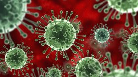 В Вологодской области за последнюю неделю зафиксировано два случая смерти от коронавируса